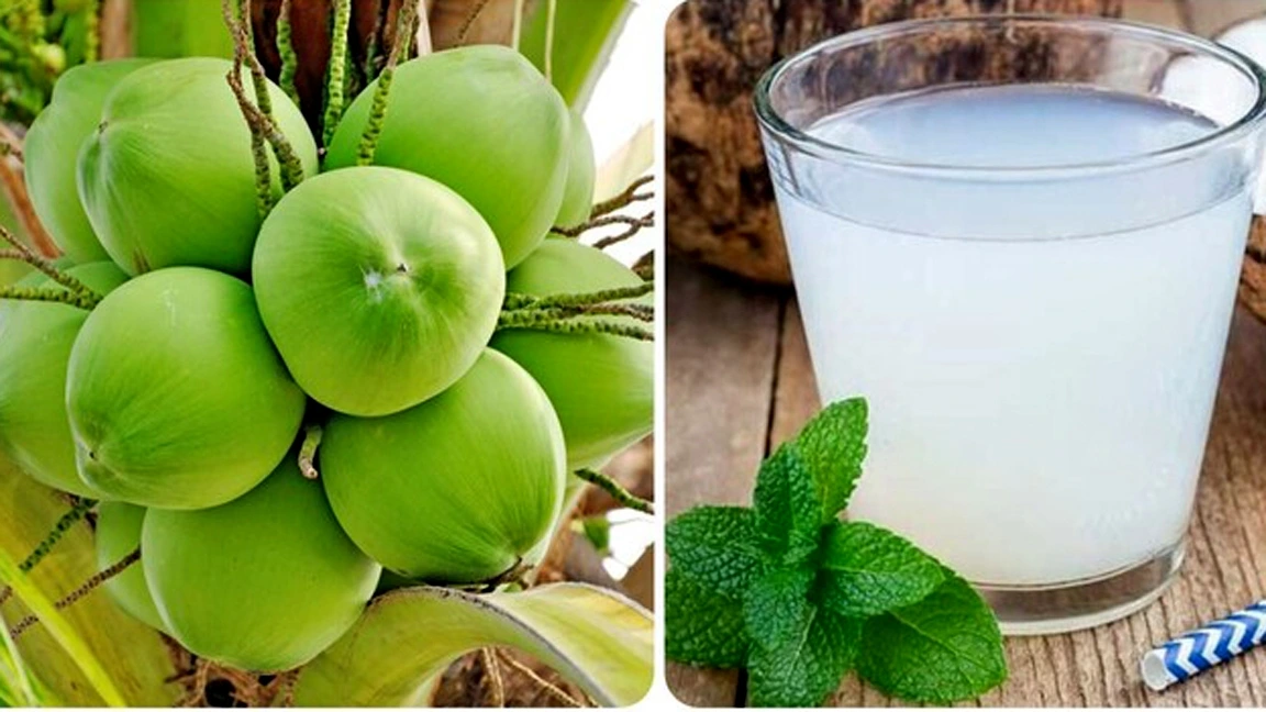 Tại Sao Nước Dừa Là "Kem Chống Nắng" Tự Nhiên?