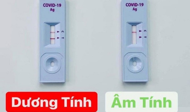 Phỏng vấn với chuyên gia